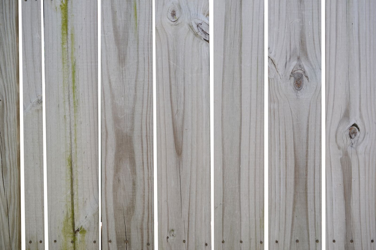 Fence boards with algae growth before cleaning