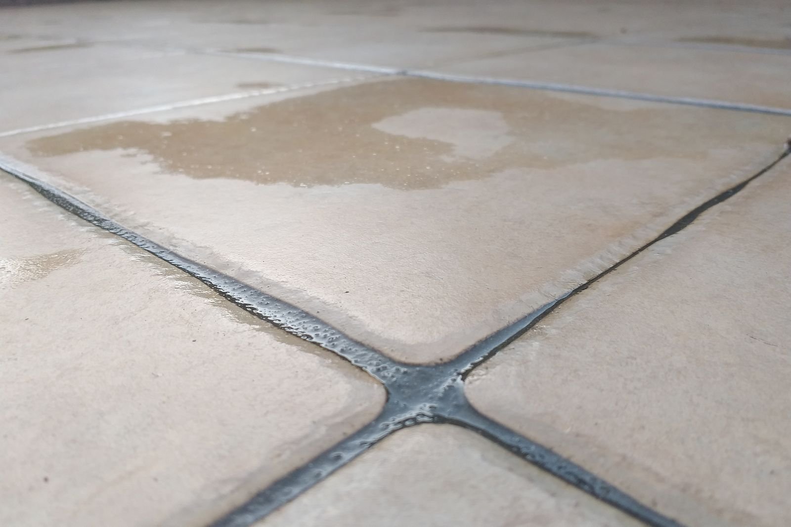 Wet paving slabs with dark grout lines after washing